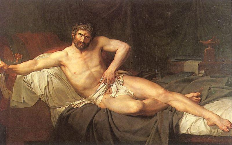 Lethiere, Guillaume Guillon The Death of Cato of Utica china oil painting image